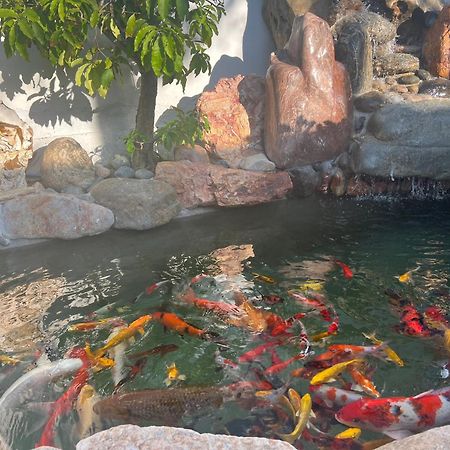 Windy Hills Hotel Mũi Né Ngoại thất bức ảnh
