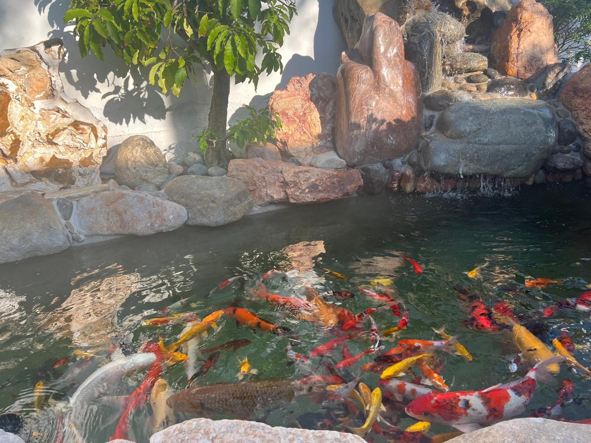 Windy Hills Hotel Mũi Né Ngoại thất bức ảnh