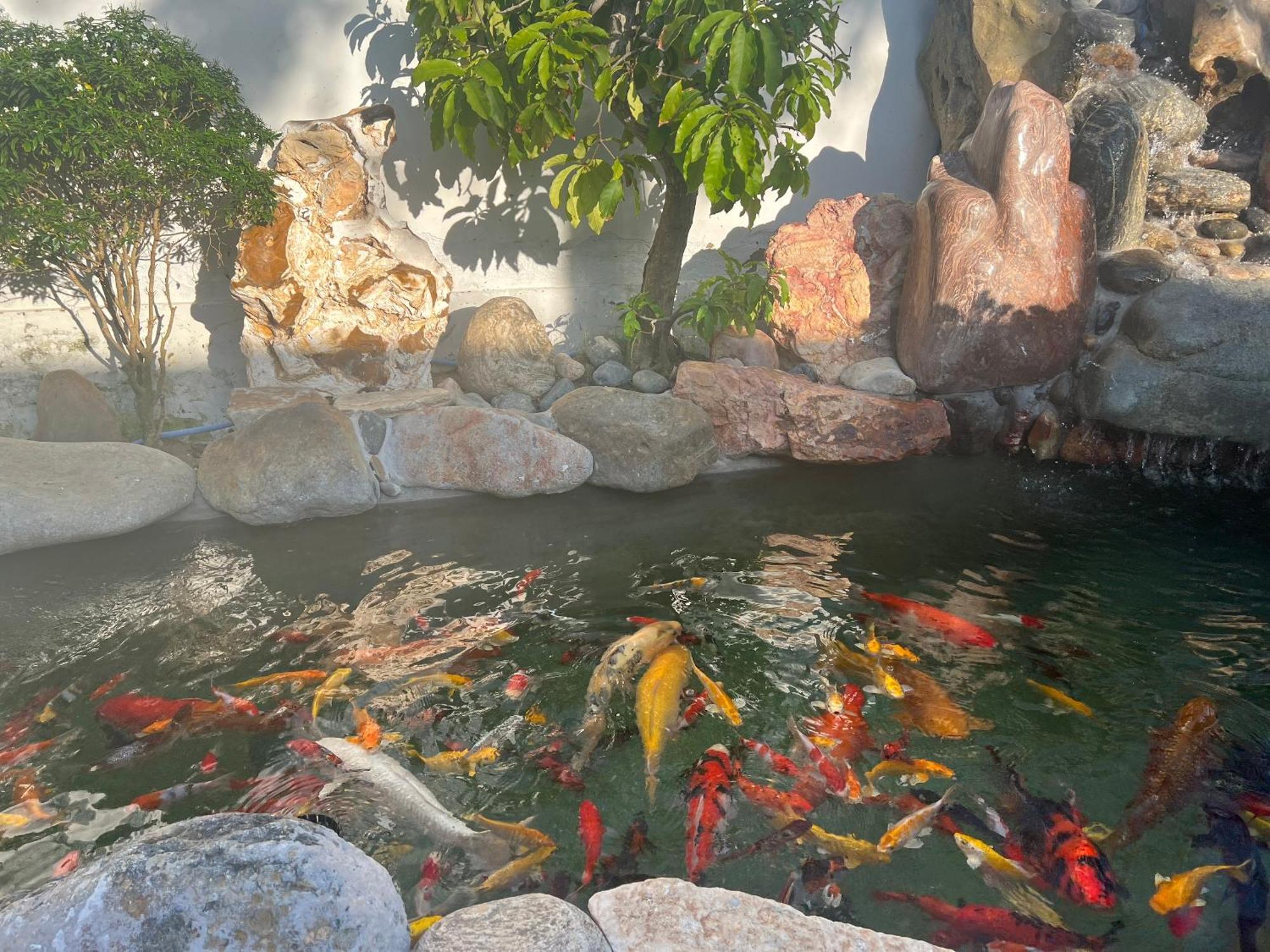 Windy Hills Hotel Mũi Né Ngoại thất bức ảnh